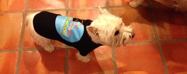 Pets - Destination PSP