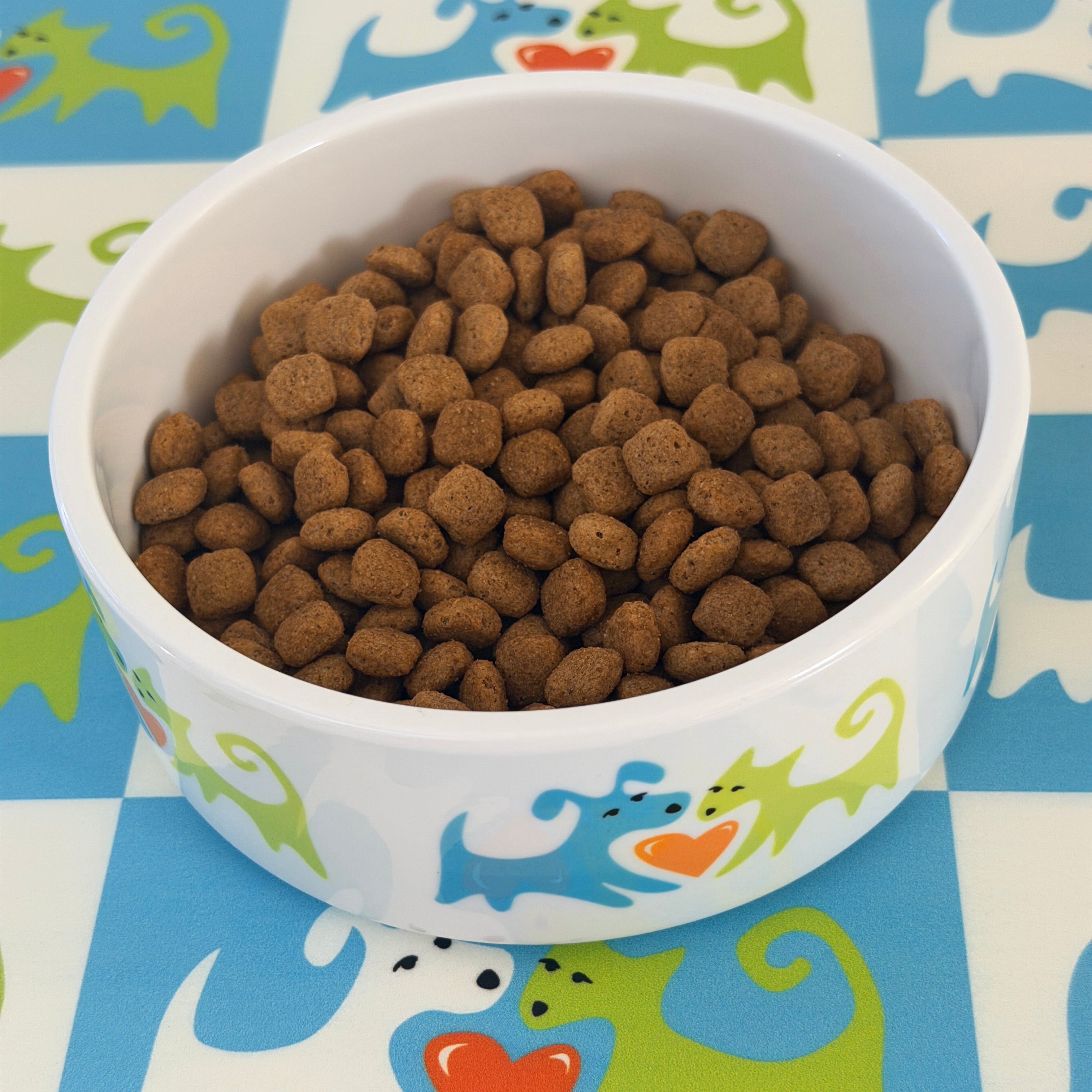 Palm Springs Animal Shelter bowl with brown pet food on a colorful pet-themed surface