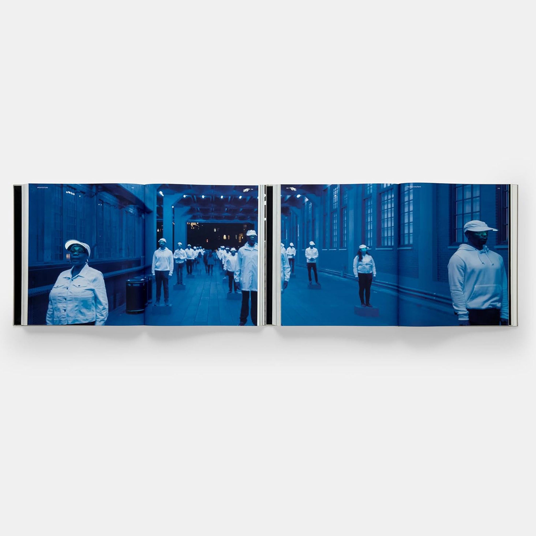 Architecture, Not Architecture: Diller Scofidio + Renfro