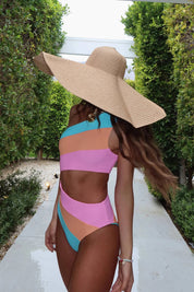 Beach Riot Joyce One Piece Swimsuit - Crush Colorblock - Destination PSP