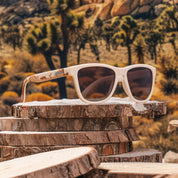 Goodr Sunglasses - Joshua Tree National Park - Destination PSP