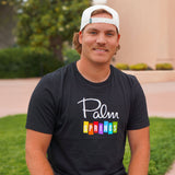Palm Springs Rainbow Unisex T-shirt - Black