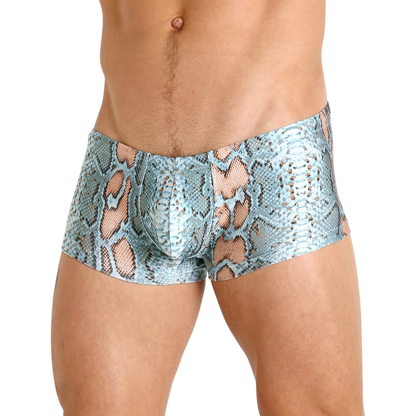 Rick Majors Blue Snake Low Rise Swim Trunks - Destination PSP