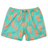 Snapper Rock Ocean Clawed Swim Short