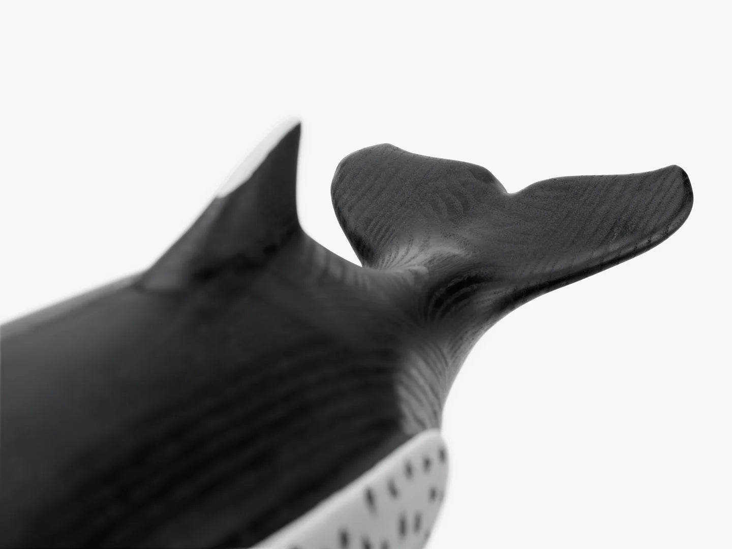 whale3.jpg