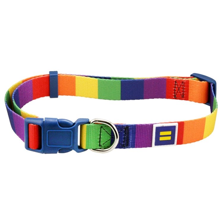 Rainbow Dog Collar - Destination PSP